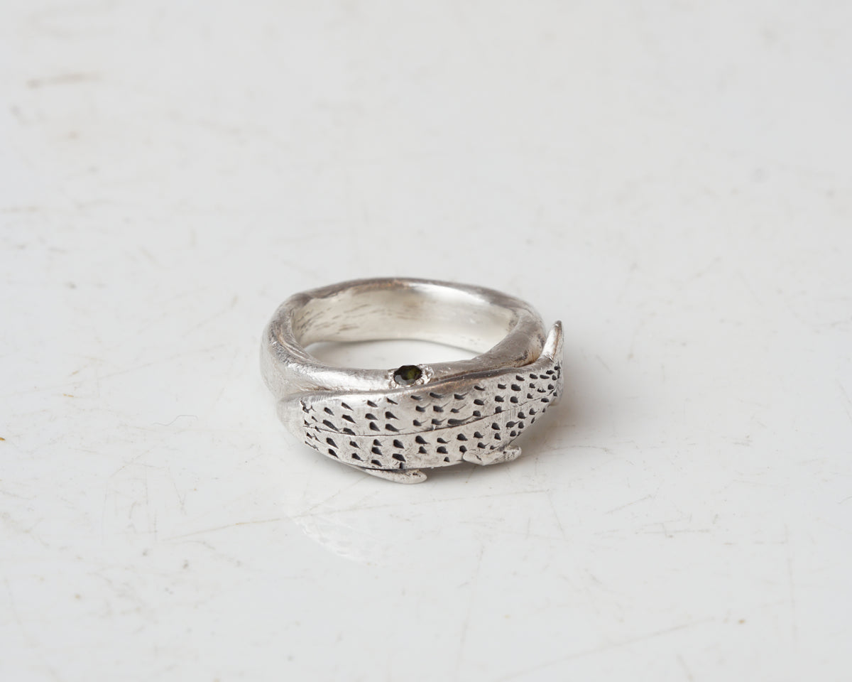 Fish spirit rings