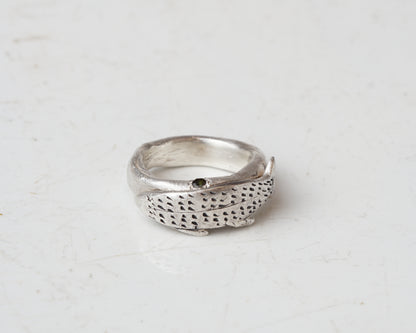 Fish spirit rings
