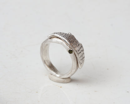 Fish spirit rings