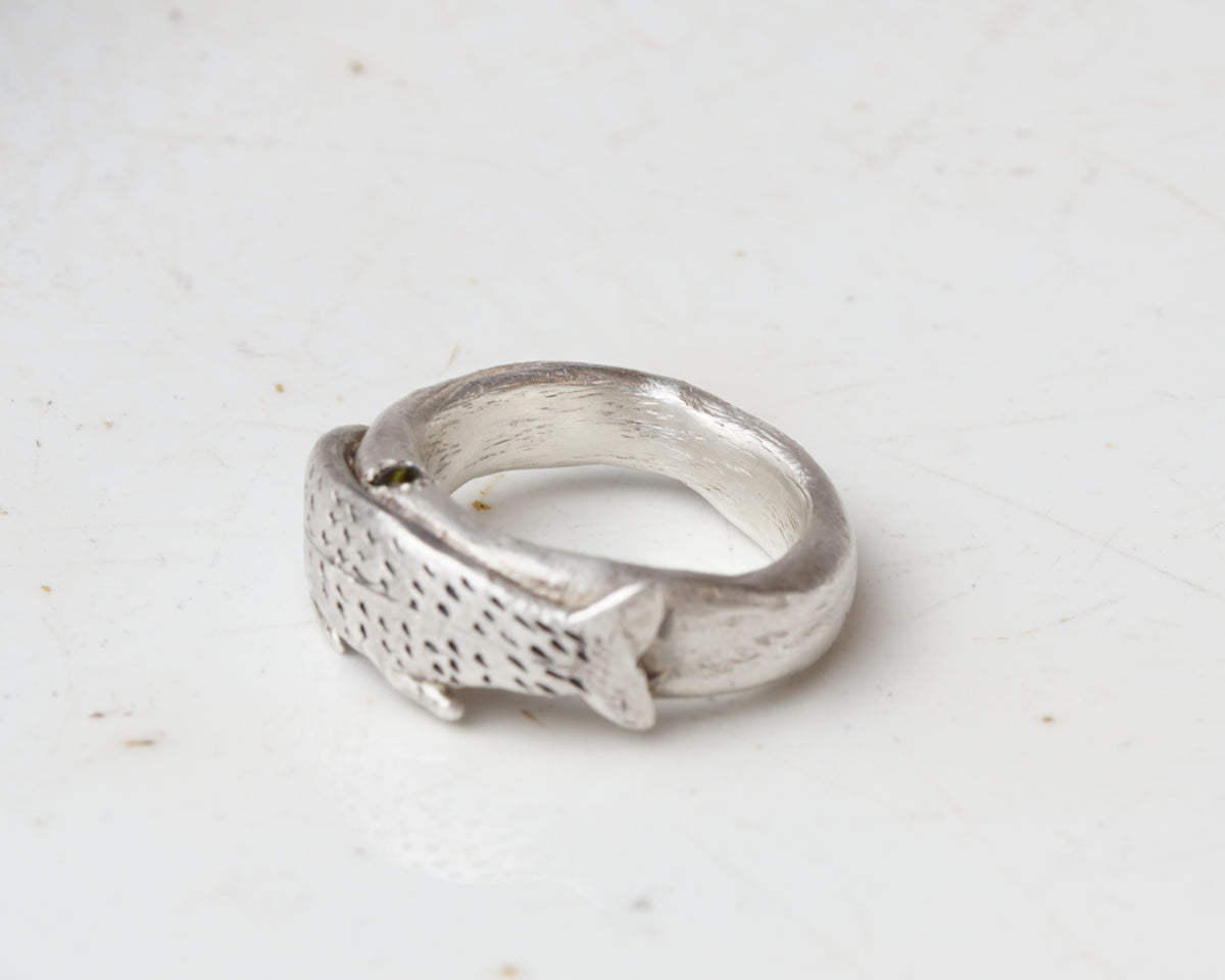 Fish spirit rings