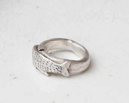 Fish spirit rings