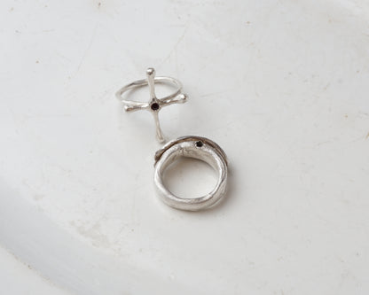 Fish spirit rings